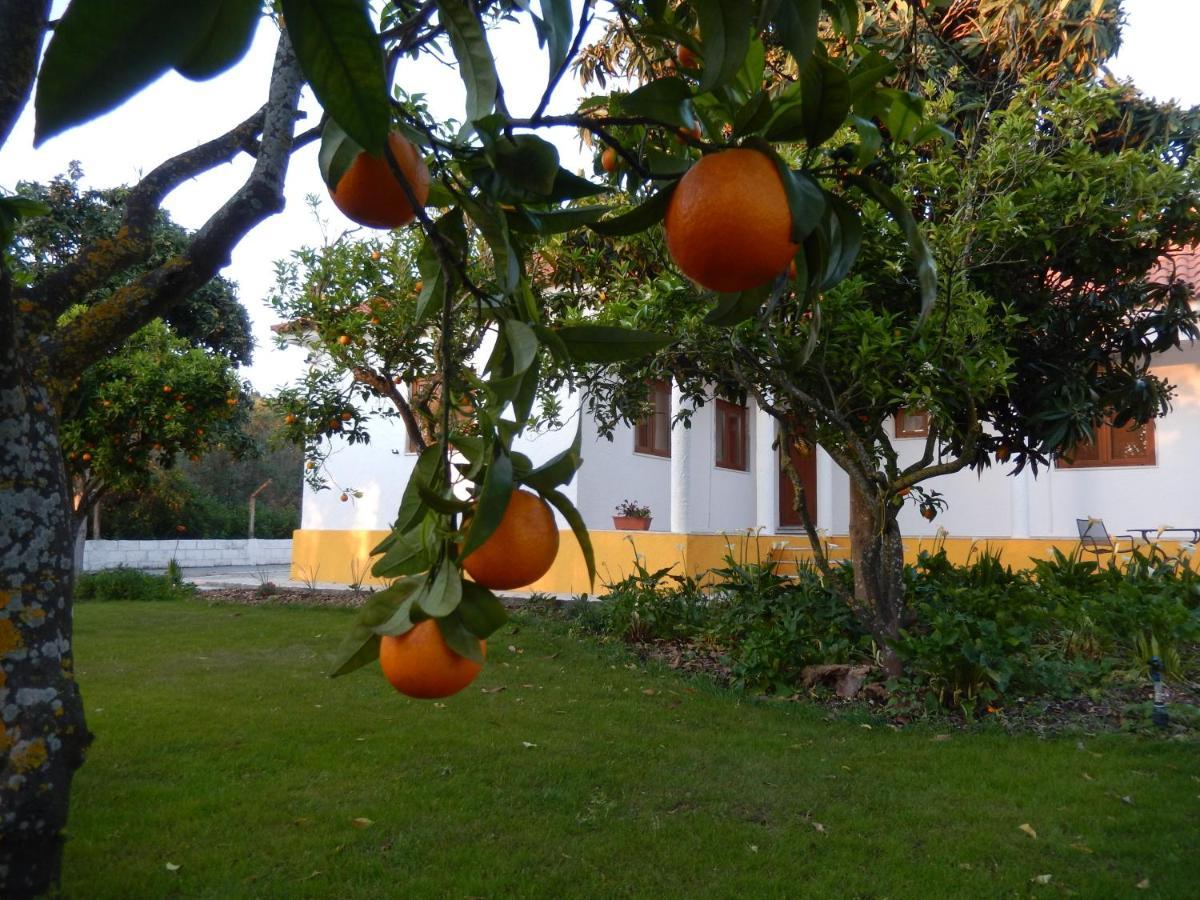 Quinta Laranjal Da Arrabida Bed and Breakfast Palmela Eksteriør billede