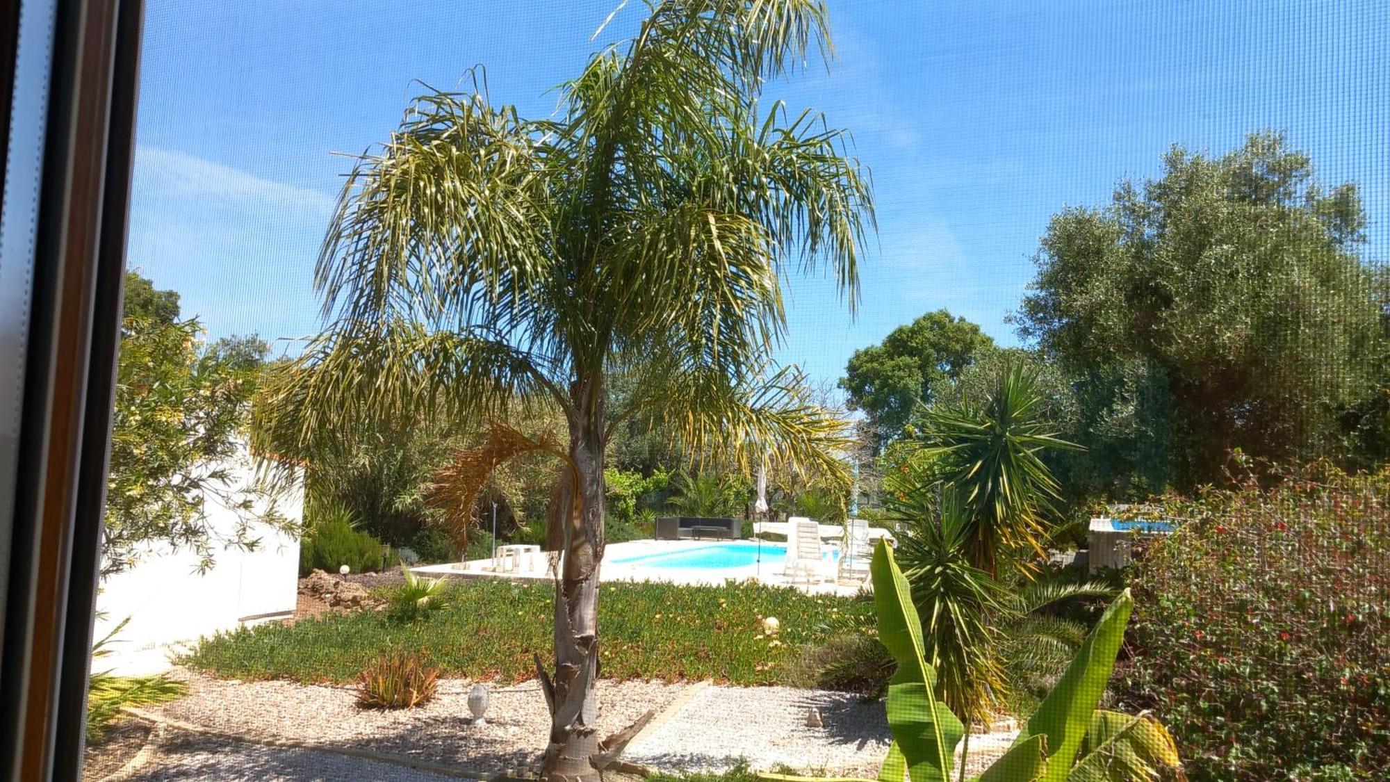 Quinta Laranjal Da Arrabida Bed and Breakfast Palmela Eksteriør billede